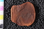PE43783a_p