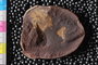PE43792a_n