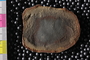 PE43797b_n