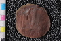 PE43798a_n