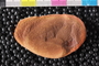PE46853a_p