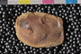 PE48480a_n
