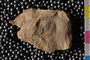 PE48582b_n