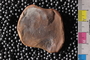 PE48586a_n