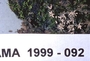 North American Mycological Association Foray : specimen # NAMA 1999-092
