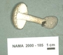 North American Mycological Association Foray : specimen # NAMA 2000-185