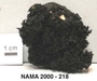 North American Mycological Association Foray : specimen # NAMA 2000-218