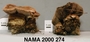 North American Mycological Association Foray : specimen # NAMA 2000-274