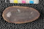 P32693a_n