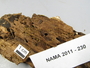 North American Mycological Association Foray 2011: specimen # NAMA 2011-230