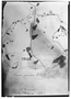 Field Museum photo negatives collection; Genève specimen of Dioscorea pedicellata Phil., CHILE, R. A. Philippi, Type [status unknown], G