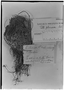 Field Museum photo negatives collection; Genève specimen of Tillandsia plumosa Baker, MEXICO, G. Andrieux, Possible type, G