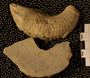 P 28862