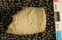 UC 22901