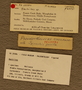 PE 25584 label