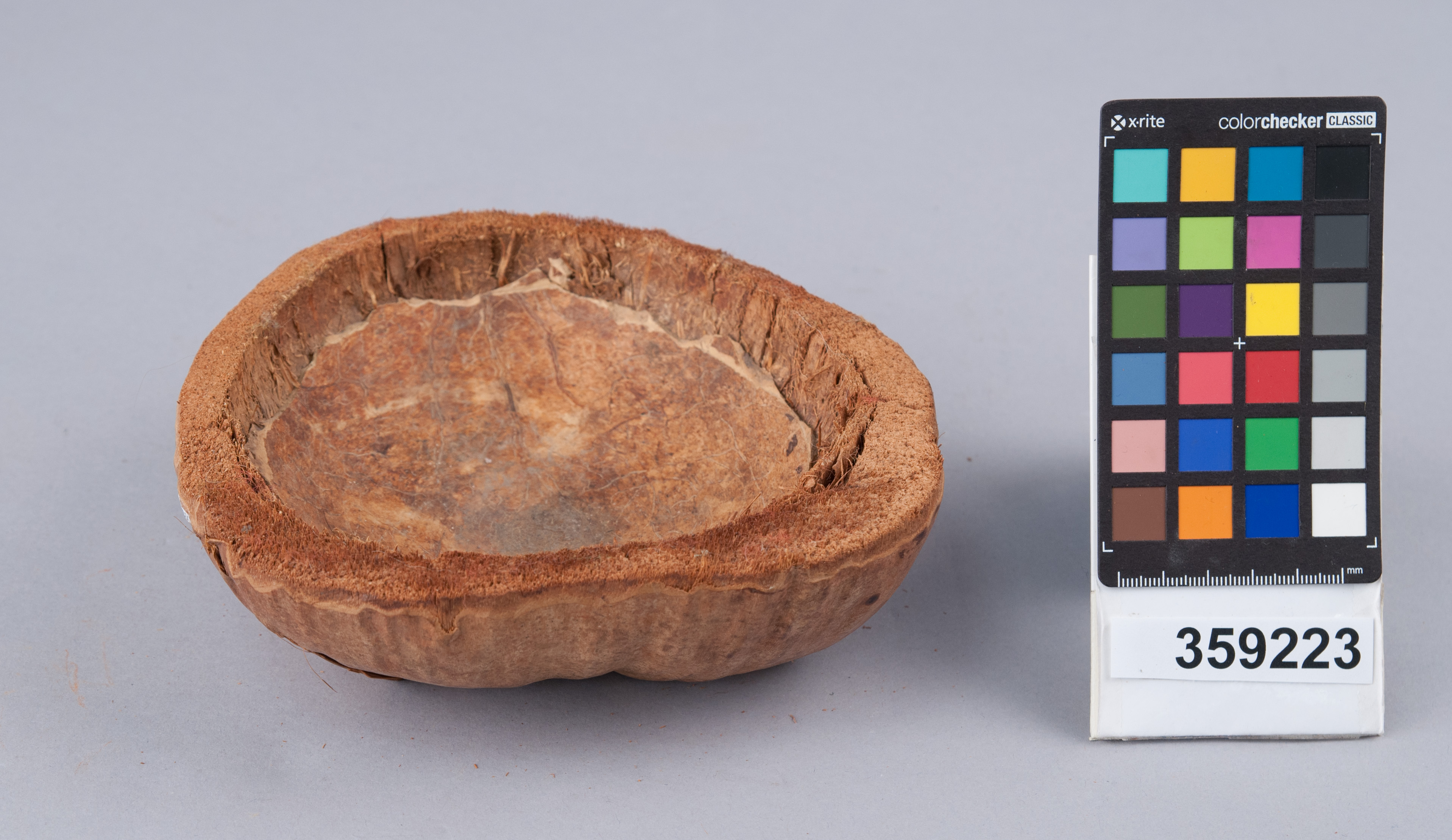 Incoming condition, bottom view 