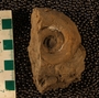 PE 61354  fossil