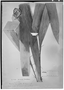 Field Museum photo negatives collection; Genève specimen of Bactris angustifolia Dammer, BRAZIL, E. H. G. Ule 5596, Type [status unknown], G