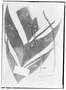 Field Museum photo negatives collection; Genève specimen of Geonoma elegans Mart., BRAZIL, L. Riedel 733, Type [status unknown], G