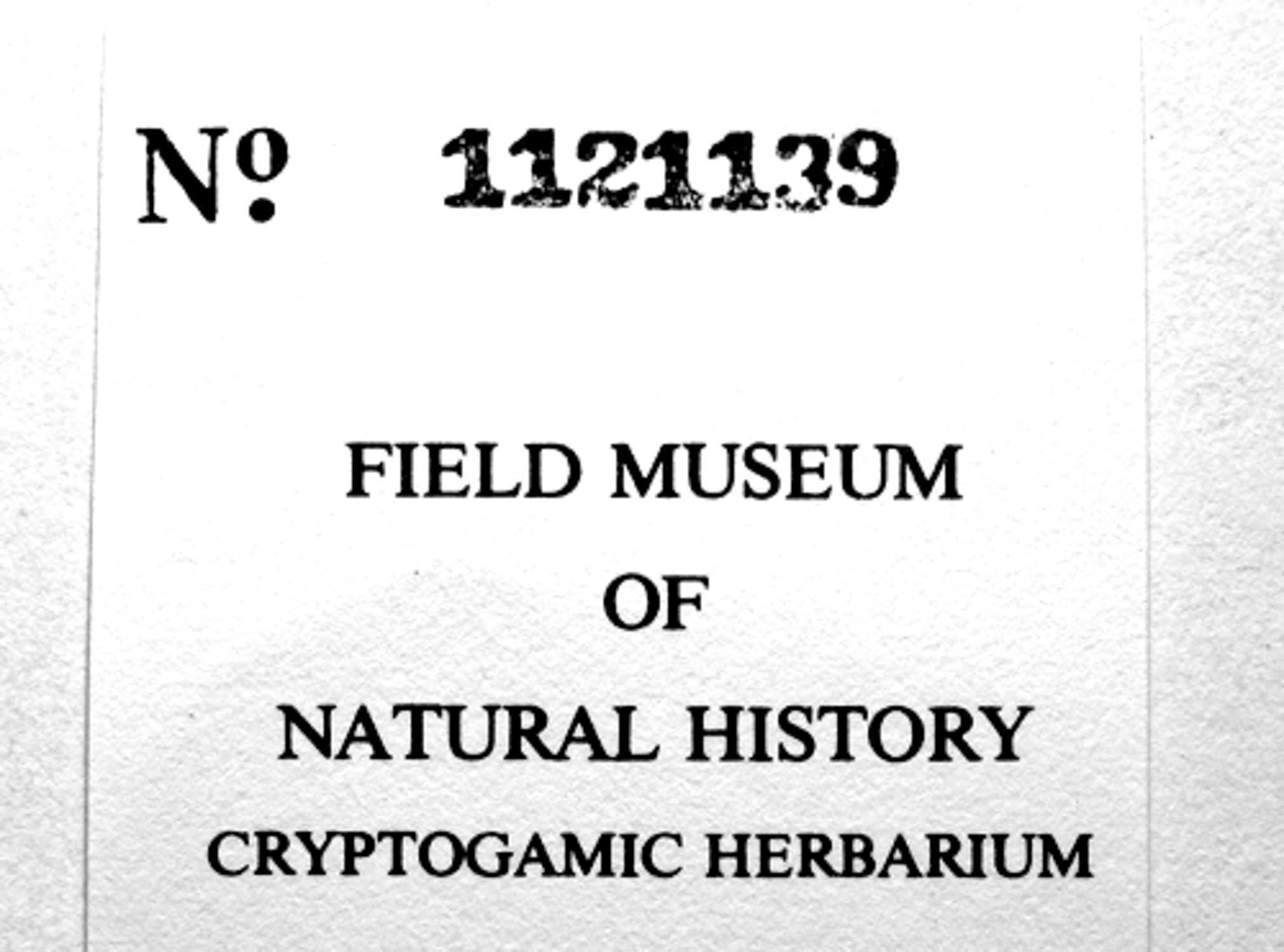 R. M. Schuster Botanical Collections