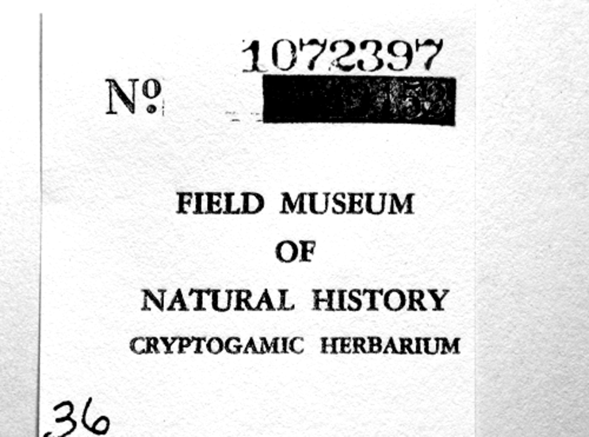 R. M. Schuster Botanical Collections