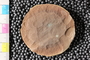 PE83709b_n