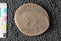 PE83723a_n