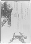 Field Museum photo negatives collection; Genève specimen of Oxalis cordobensis var. humilior R. Knuth, URUGUAY, J. Arechavaleta 286, Type [status unknown], G
