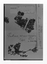Field Museum photo negatives collection; Genève specimen of Gentiana nummularifolia Griseb., ECUADOR, W. Jameson, G