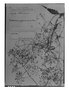 Field Museum photo negatives collection; Genève specimen of Valeriana approximata Briq., ARGENTINA, T. J. V. Stuckert 22022, Type [status unknown], G