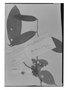 Field Museum photo negatives collection; Genève specimen of Cremastosperma pendula (Ruíz & Pav.) Fr., PERU, H. Ruíz L., Type [status unknown], G