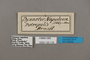 125116 Dynastor napoleon labels IN