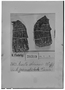 Field Museum photo negatives collection; Genève specimen of Azorella columnaris H. Wolff, BOLIVIA, K. Fiebrig 2622, Type [status unknown], G