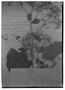 Field Museum photo negatives collection; Genève specimen of Senecio jurgensenii Hemsl., MEXICO, C. Jürgensen 309, Type [status unknown], G