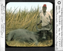 Man and East African Buffalo