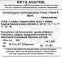 Symphyogyna hymenophyllum image