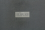 PP 58034 Label