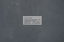 PP 58017 Label