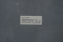PP 58020 Label