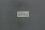 PP 58030 Label