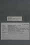 PP 58080 Label