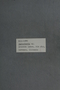 PP 58089 Label