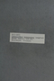 PP 58118 Label