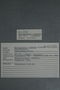 PP 58229 Label