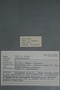 PP 58267 Label