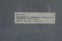 PP 58309 Label