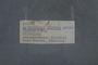 PP 58367 Label
