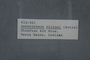 PP 58406 Label