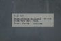 PP 58407 Label
