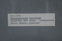 PP 58435 Label